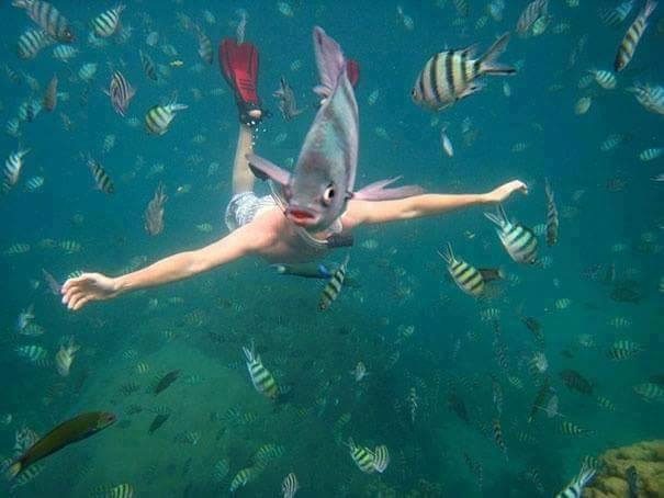 15 Perfectly Timed Photos