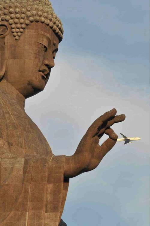15 Perfectly Timed Photos