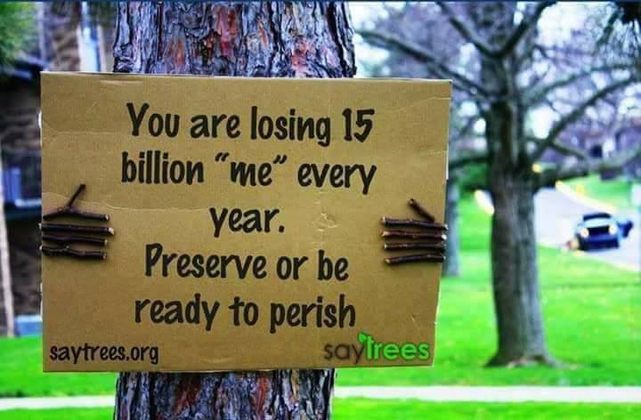 Trees are Life...Spread the word...This Needs Attention (10 Pics)