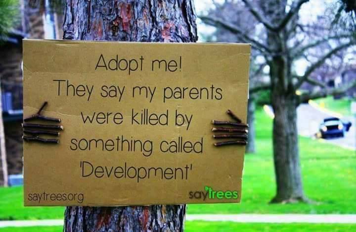 Trees are Life...Spread the word...This Needs Attention (10 Pics)
