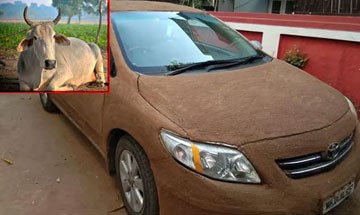 Viral Pics: This Car Owner Coats His Car With Cow Dung To Keep It Cool!