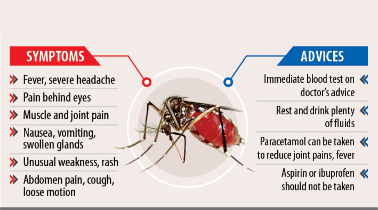Dengue Fever Symptoms, Causes, Prevention And Treatment