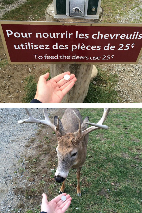 27 People Who Followed Instructions A Little Too Carefully