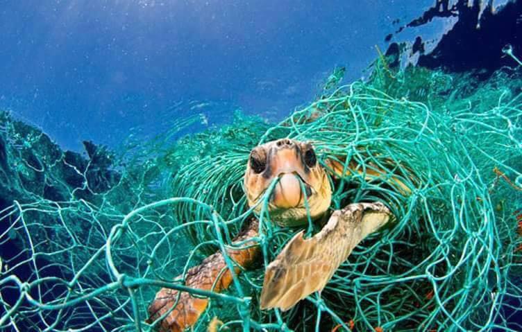 "It's just one straw, it's just one disposable cup, it's just one plastic bag" - 7.4 billion people. What are we doing??