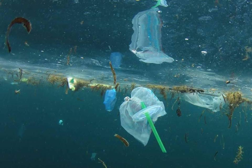 "It's just one straw, it's just one disposable cup, it's just one plastic bag" - 7.4 billion people. What are we doing??