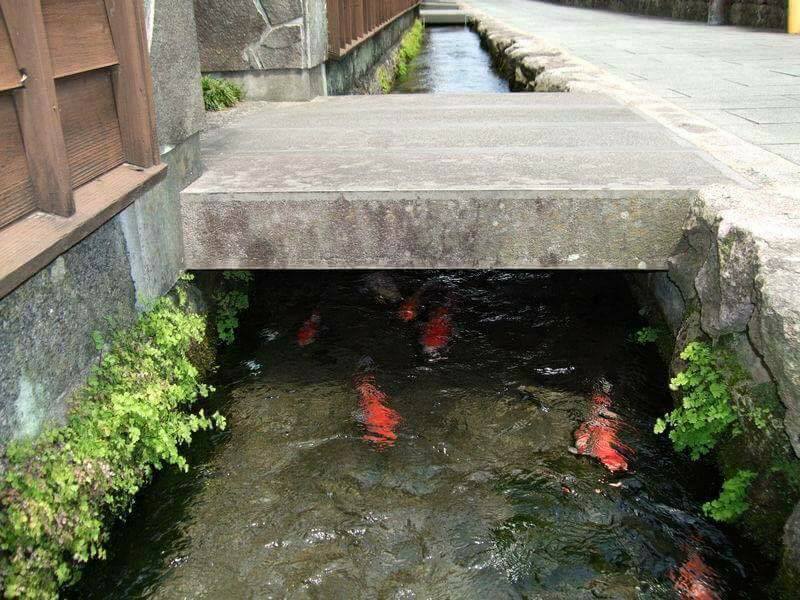 Only in Japan - (11 Pics)