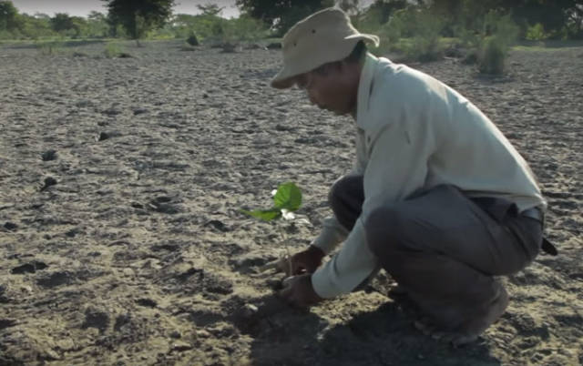 The Forest Man Of India: This Man Transformed Desert Into A Forest In 39 Years
