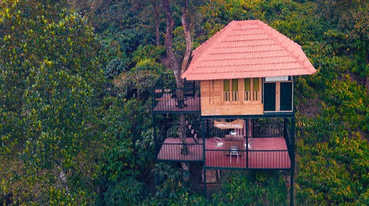 Top 5 TreeHouse Resorts In India | Travel Guide